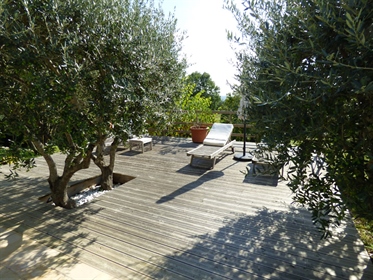 Auf einem ca. 1,5 Hektar großen Grundstück, das mit Olivenbäumen bepflanzt ist, befindet sich diese