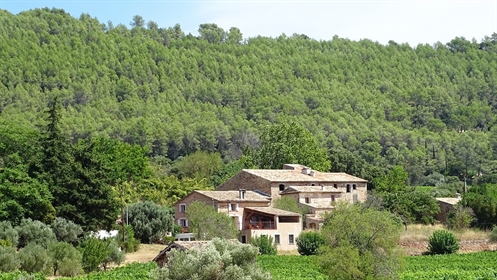 Charming 8 Ha Estate In Aop Cotes De PROVENCE

If you dream of running your own vineyard h