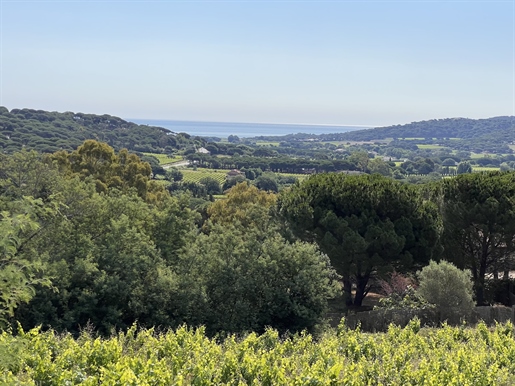 Très rare opportunité à Ramatuelle - Grand terrain à bâtir avec vue panoramique sur la campagne en 