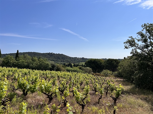 Sehr seltene Gelegenheit in Ramatuelle - Großes Baugrundstück mit Panoramablick über die Landschaft