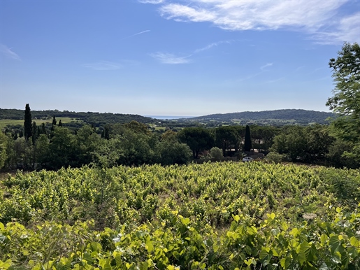 Très rare opportunité à Ramatuelle - Grand terrain à bâtir avec vue panoramique sur la campagne en 