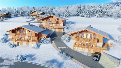 Located at an altitude of 1035m, Praz sur Arly offers an ideal location: between Megeve and Flumet,