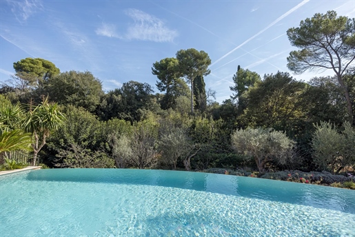 Provencal home with Infinity pool enjoying delightful relaxing views over the evergreen pine trees..