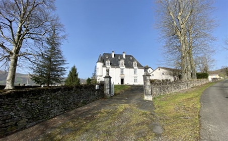 Magnifico castello storico con 2 alloggi, fienile e 8 ettari: Pedaggi dei Pirenei