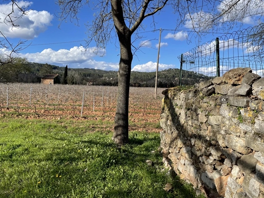 Familiengeführtes Weingut im Zentrum des Var, im Herzen der Côtes de Provence appel