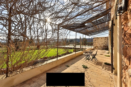 Located in the heart of the Center-Var vineyards, this magnificent 19th century stone bastide, compl