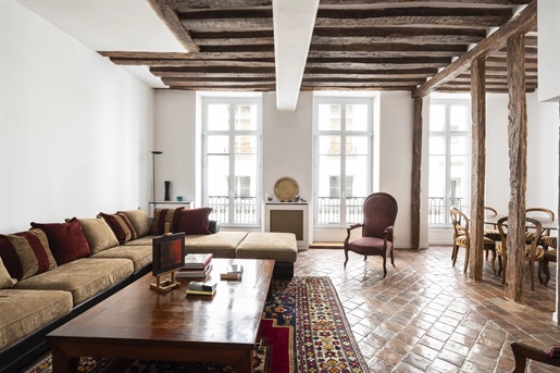 Paris 3rd beautiful renovated apartment.

In the Marais district, near the gardens of the