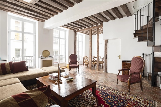 Paris 3rd beautiful renovated apartment.

In the Marais district, near the gardens of the