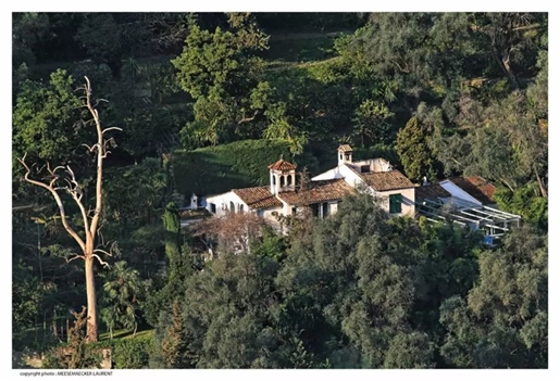 Discover this exceptional property in Menton, offering a lush garden planted with 150 century-old ol