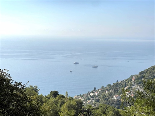 Perched in the hillsides overlooked the Med, stunning 3 ha plot, 15 minutes from Monaco, this proper