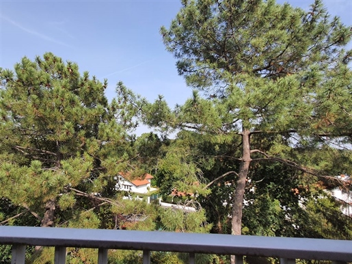 Top floor apartment close to Biarritz

Anglet, ideal location, close to the Parc d& 039 Hi