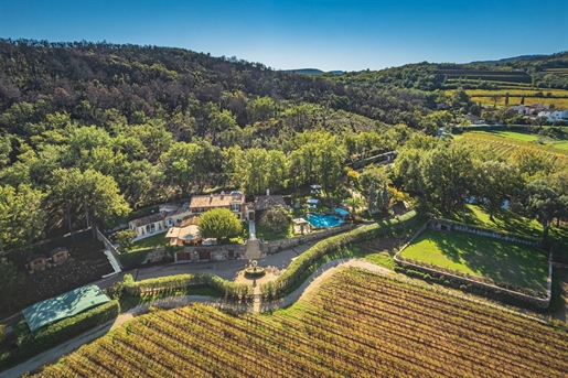 An unparalleled and rare opportunity has arisen in the middle of one of Provence& 039 s wine regions