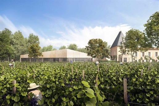 At the heart of the Aoc St Emilion Grand Cru vineyards, this wine-growing estate of over 15 hectares