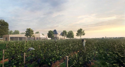 At the heart of the Aoc St Emilion Grand Cru vineyards, this wine-growing estate of over 15 hectares