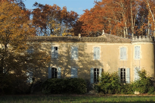 Authentic 15th century Chateau on 24 ha 

This property of character of 24ha (vineyard, pa