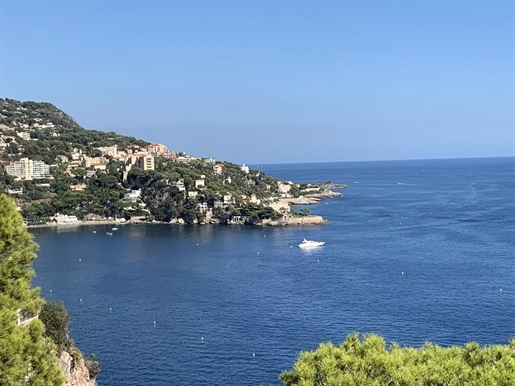 Quel emplacement, quelle vue, à 5 minutes de Monaco, sur la pointe du Cap Estel, plein sud