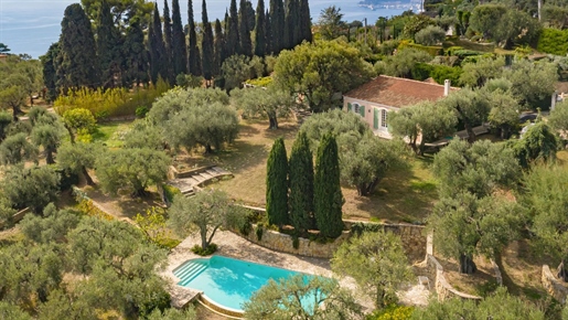 Недалеко от Монако, историческое место, знаменитая оливковая роща, соседствующая с бывшим поместьем
