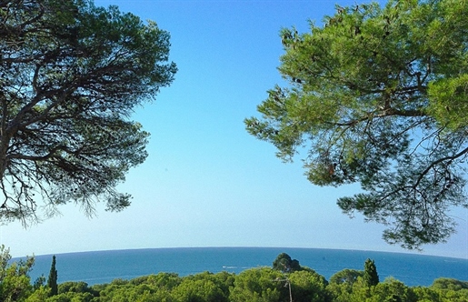 Located in a popular residential area of Saint-Raphael, 10 minutes walk from the sea, discover this
