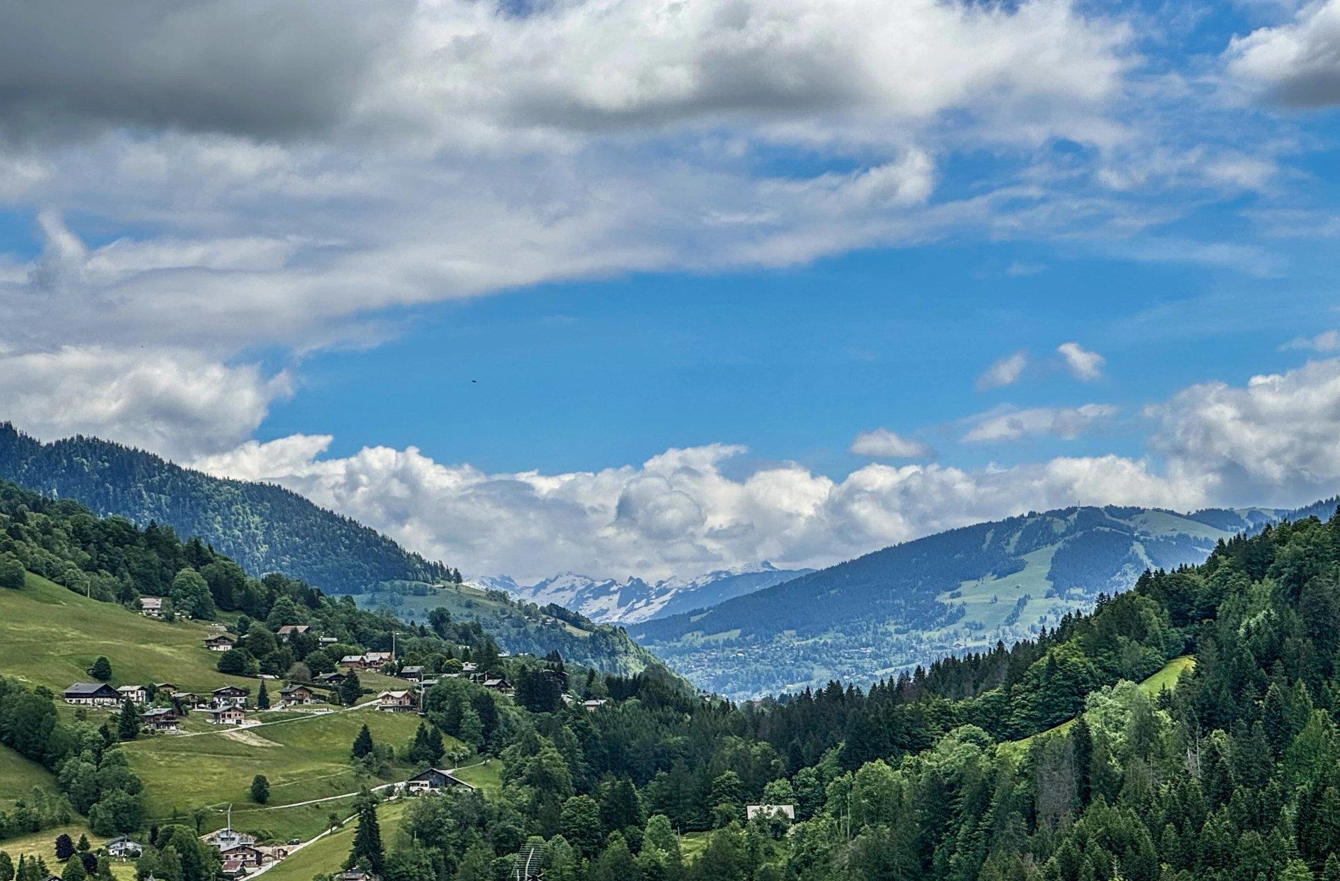 Cumpărare: Casă (10400)