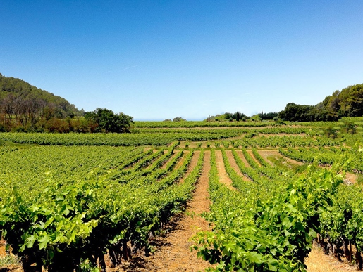 What a great investment opportunity this Provencal countryside estate with vineyard is......
