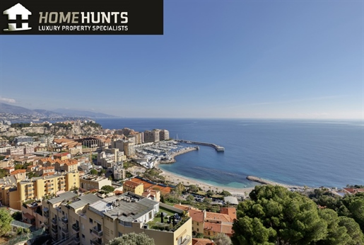In the charming coastal town of Cap d& 039 Ail - Just steps away from Monaco, top floor sea view dup