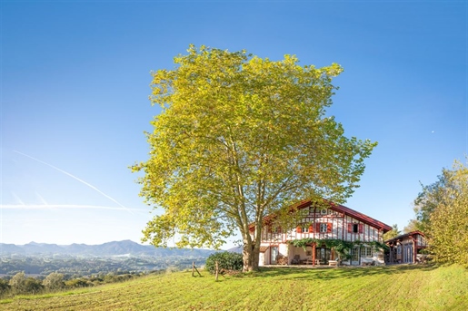 Traditional basque house renovated, with swimming pool and mountain view

Exceptional prop