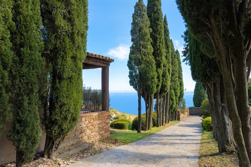 On the heights of Le Lavandou, not far from the historical village of Bormes-les-Mimosas, this amazi