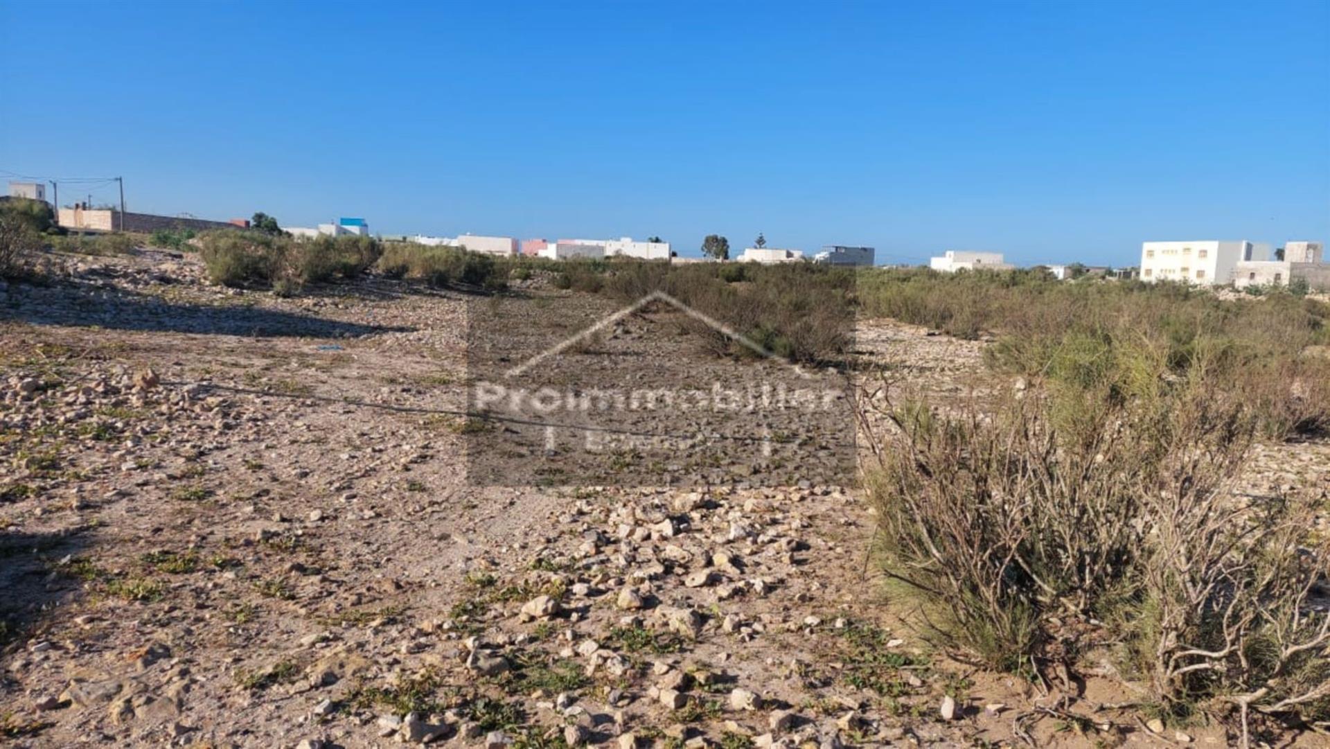 24-04-02-Vtm Land fo sale in Essaouira of 1149 m²
