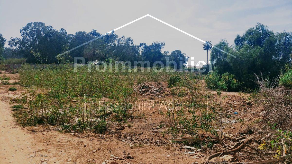 Compra: Terreno