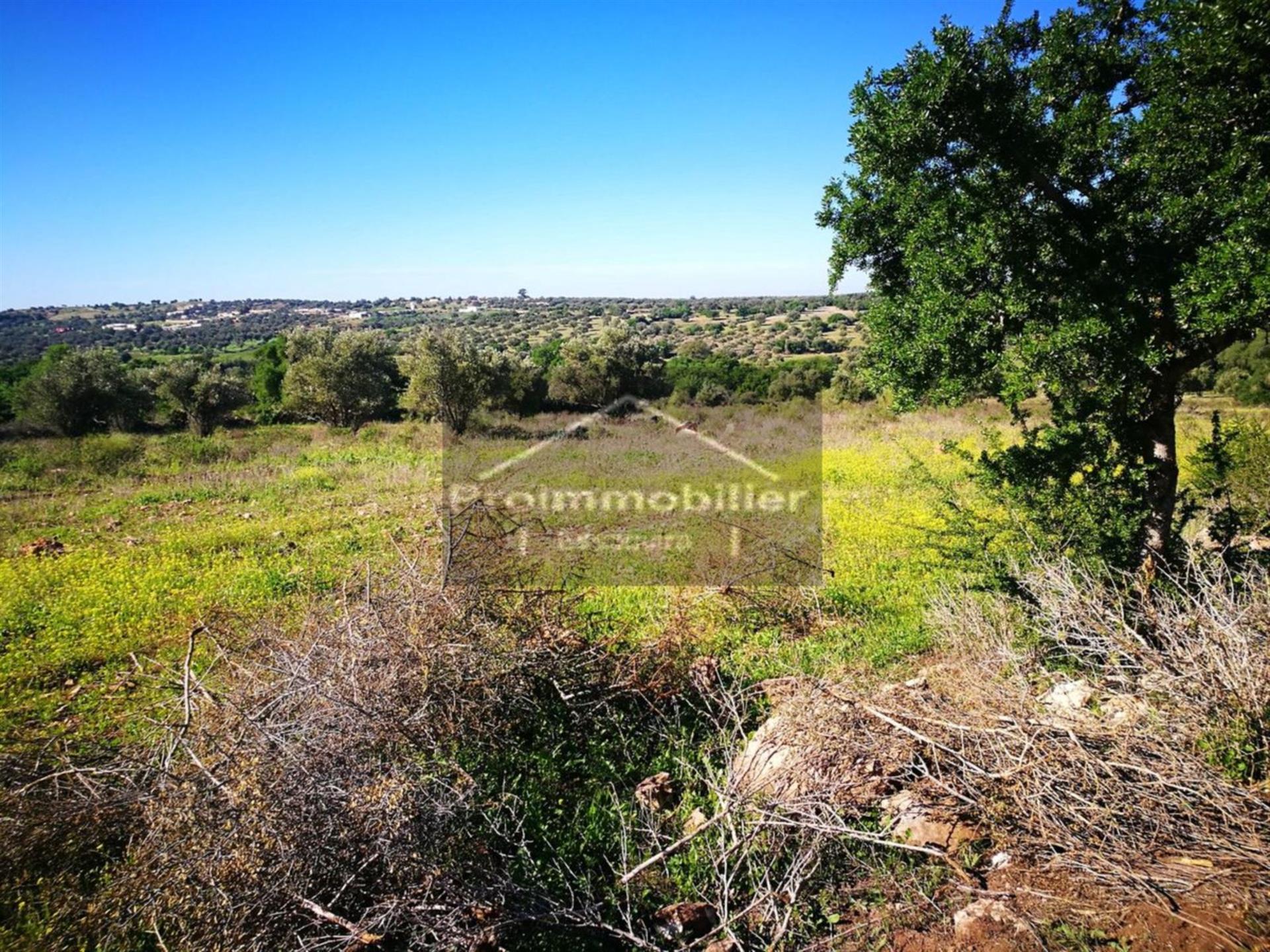 Magnífico terreno 16935m² sin Avna