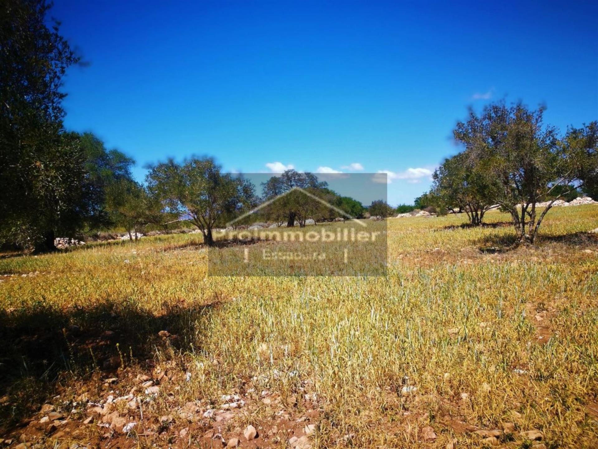 Magnífico terreno 16935m² sin Avna