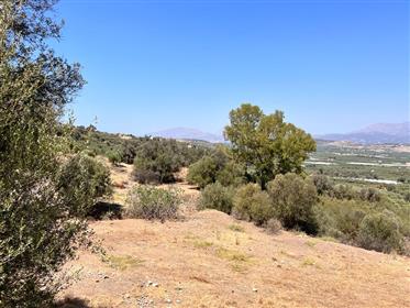 Parcel of land in a traditional south Cretan village