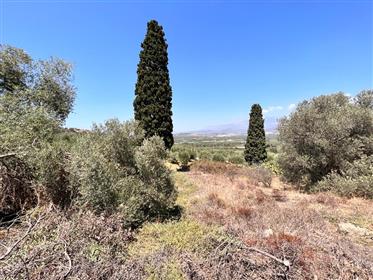Parcel of land in a traditional south Cretan village