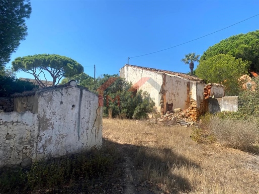Terreno com ruína e vista campo - Almancil
