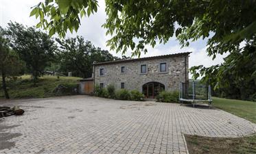 Luxury big estate - villa+pool+agritourism+vineyard