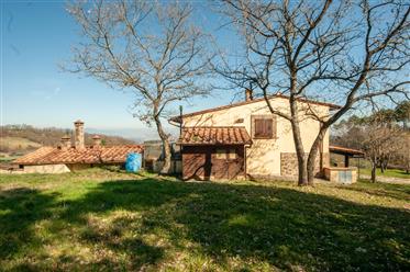 Country house panoramic view