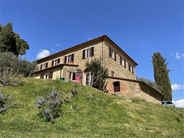 Renovated country house with olive trees