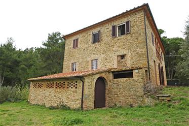 Zrekonstruovaný venkovský dům s olivovníky