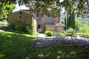 Stunning villa in Cortona surroundings