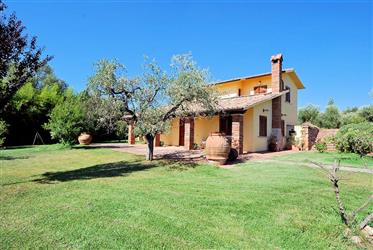 Villa v perfektnom stave s olivovými stromami
