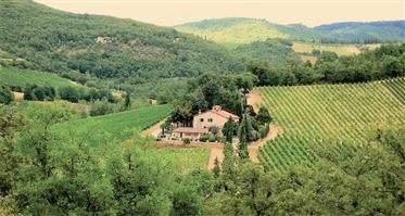 Wonderful winery for sale with agriturism