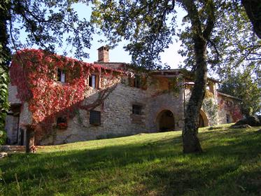 Tuscan home in Chianti shire