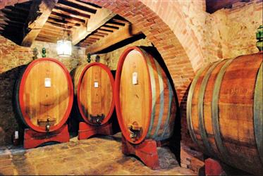 High-Level winery in the heart of Tuscany