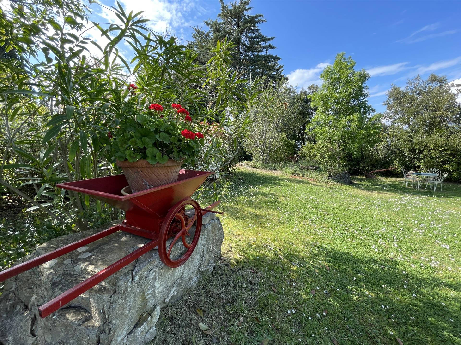 Bella casa di campagna con ulivi