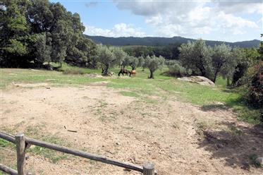 Big estate with horses stables, 3 apartments, swimming pool and 46 hectares of land