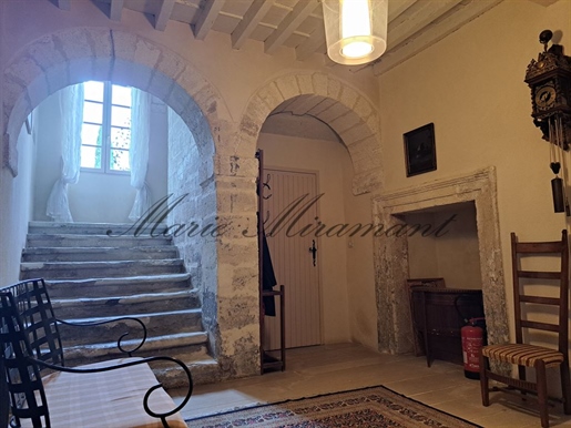 Avignon historical center, beautiful house with garden and pool