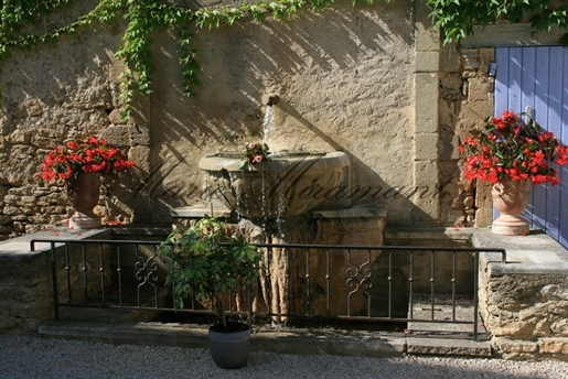Zwischen Avignon und Uzès, historische Residenz auf sechs Hektar