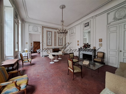 Avignon historical center, exceptional apartment in a 18th century private mansion