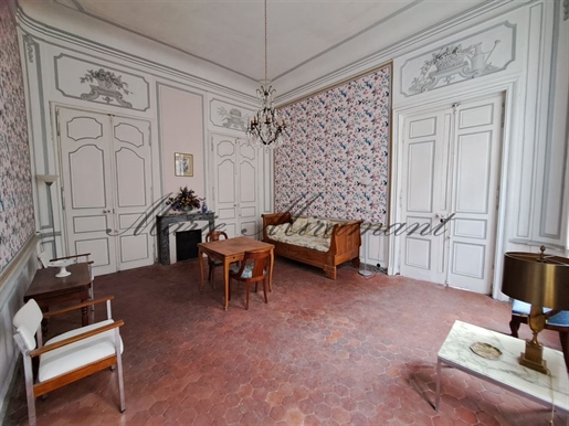 Avignon historical center, exceptional apartment in a 18th century private mansion