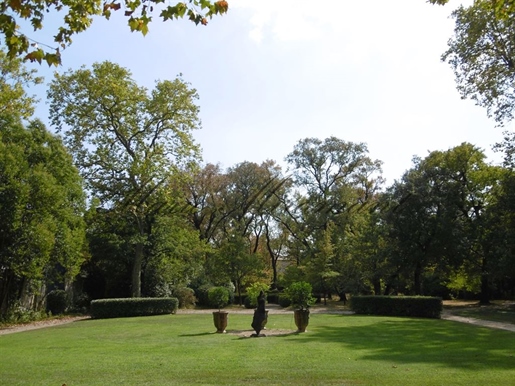 Near Uzès and Nîmes, exceptionnal castel with park
